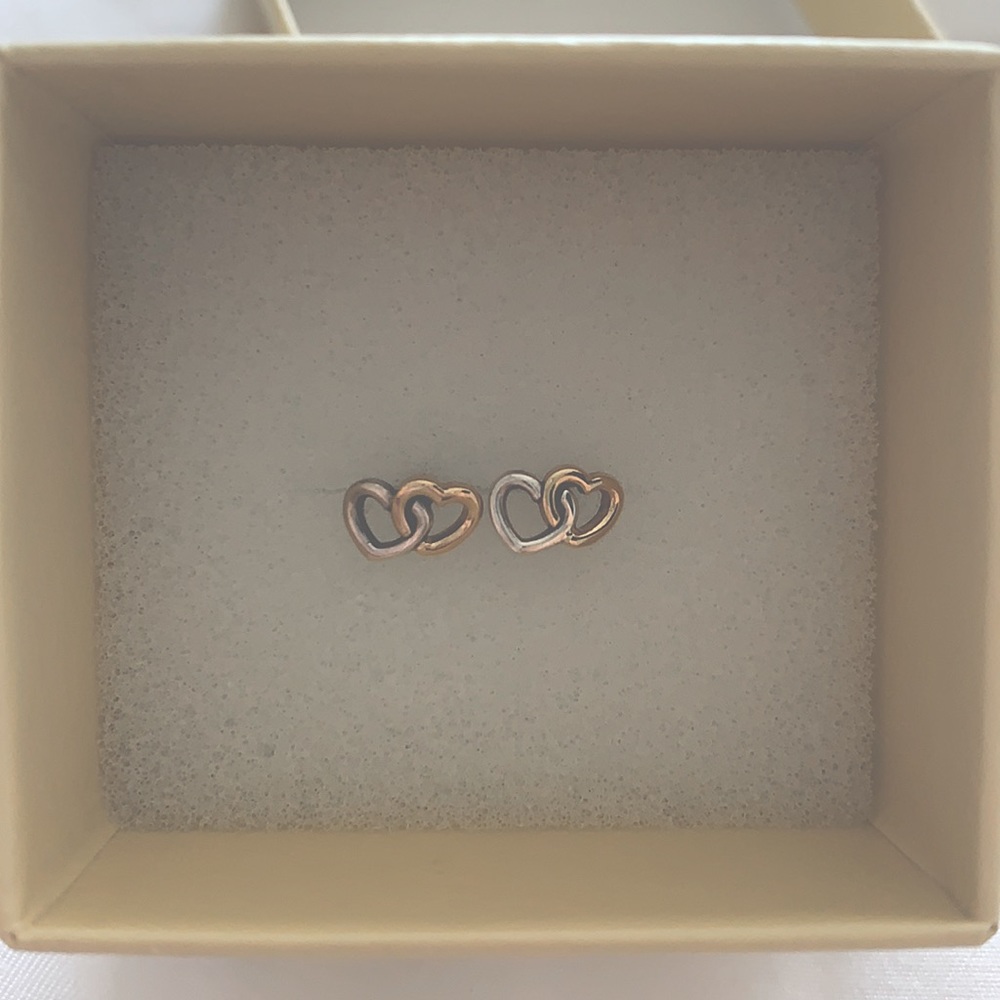 Heart to Heart Earrings